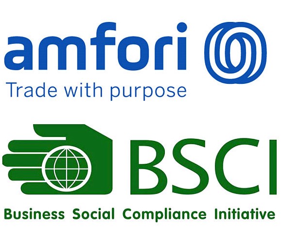BSCI-N